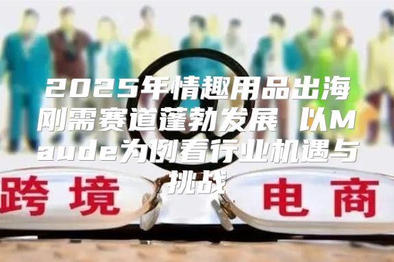 2025年情趣用品出海刚需赛道蓬勃发展 以Maude为例看行业机遇与挑战