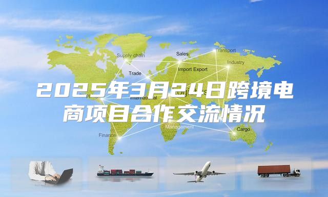 2025年3月24日跨境电商项目合作交流情况