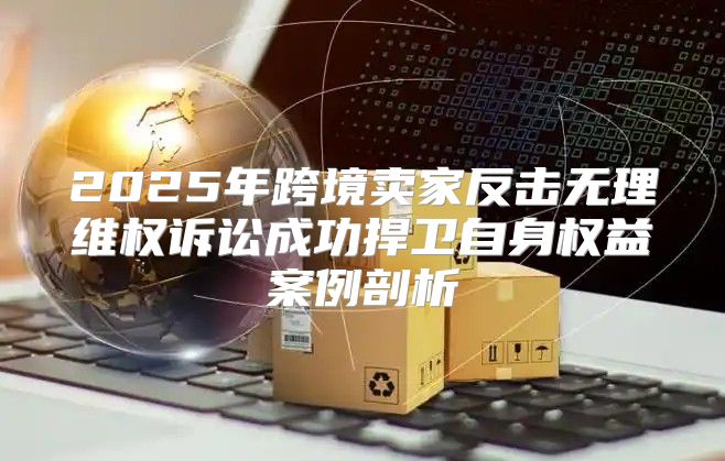 2025年跨境卖家反击无理维权诉讼成功捍卫自身权益案例剖析