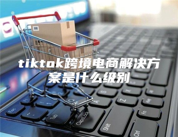 tiktok跨境电商解决方案是什么级别