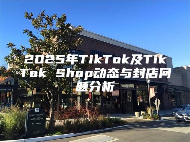 2025年TikTok及TikTok Shop动态与封店问题分析