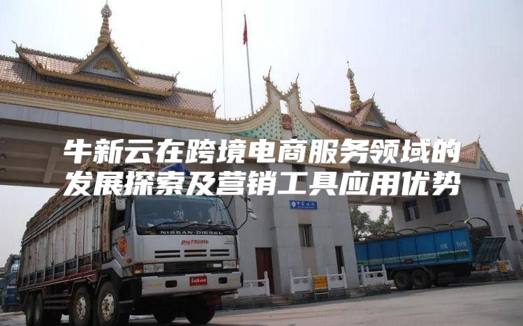 牛新云在跨境电商服务领域的发展探索及营销工具应用优势