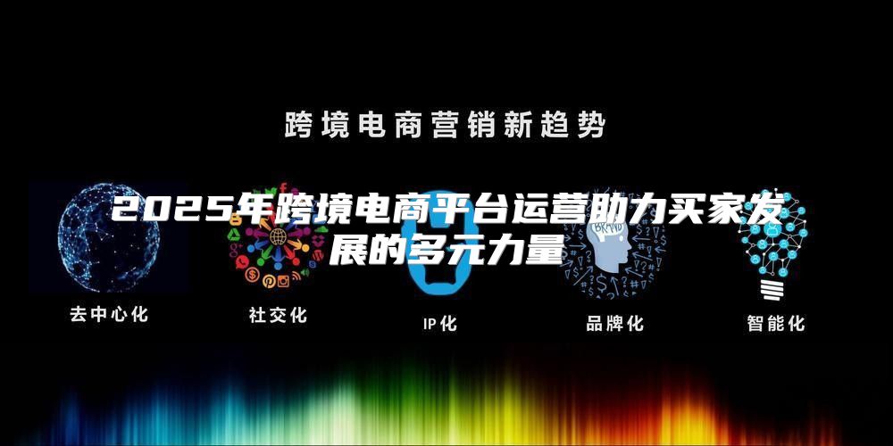 2025年跨境电商平台运营助力买家发展的多元力量