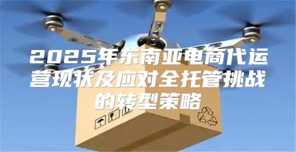 2025年东南亚电商代运营现状及应对全托管挑战的转型策略