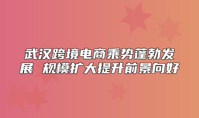 武汉跨境电商乘势蓬勃发展 规模扩大提升前景向好