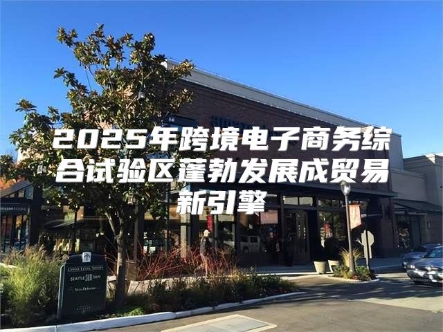 2025年跨境电子商务综合试验区蓬勃发展成贸易新引擎