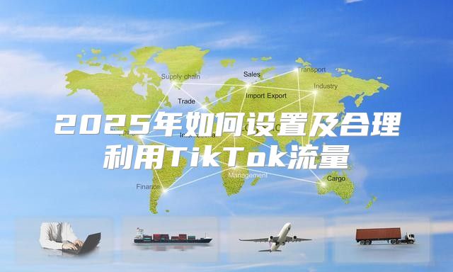 2025年如何设置及合理利用TikTok流量