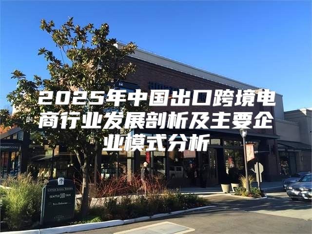 2025年中国出口跨境电商行业发展剖析及主要企业模式分析
