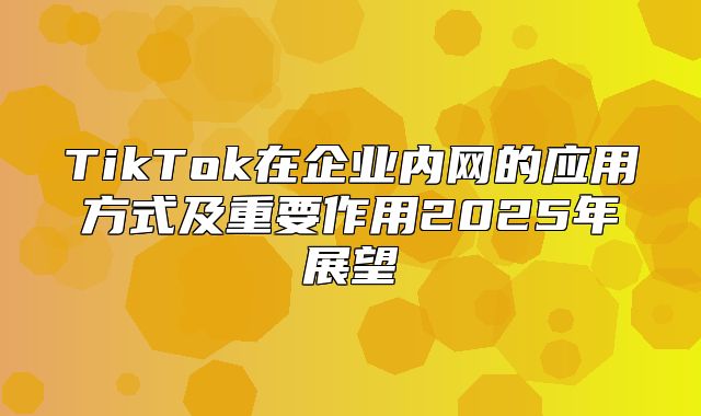 TikTok在企业内网的应用方式及重要作用2025年展望
