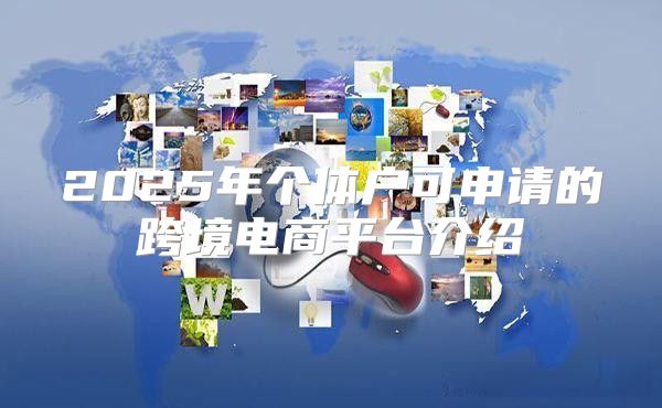2025年个体户可申请的跨境电商平台介绍