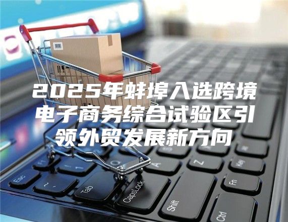2025年蚌埠入选跨境电子商务综合试验区引领外贸发展新方向