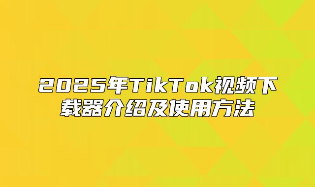 2025年TikTok视频下载器介绍及使用方法