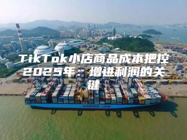 TikTok小店商品成本把控2025年：增进利润的关键