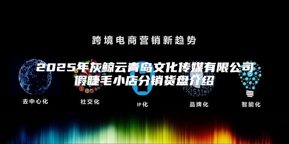 2025年灰鲸云青岛文化传媒有限公司假睫毛小店分销货盘介绍