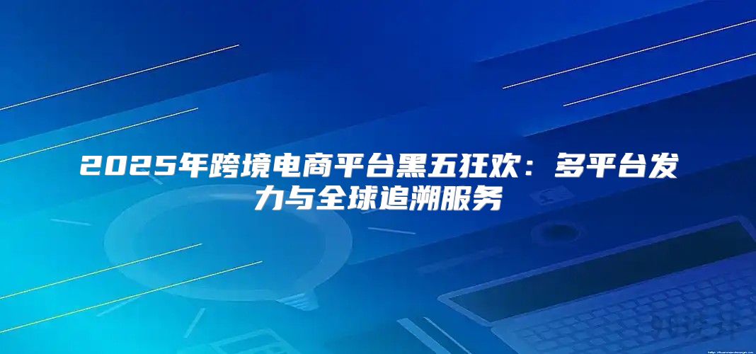 2025年跨境电商平台黑五狂欢：多平台发力与全球追溯服务