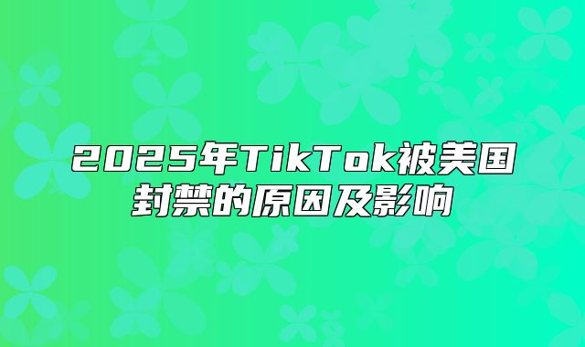 2025年TikTok被美国封禁的原因及影响