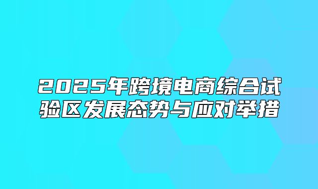 2025年跨境电商综合试验区发展态势与应对举措