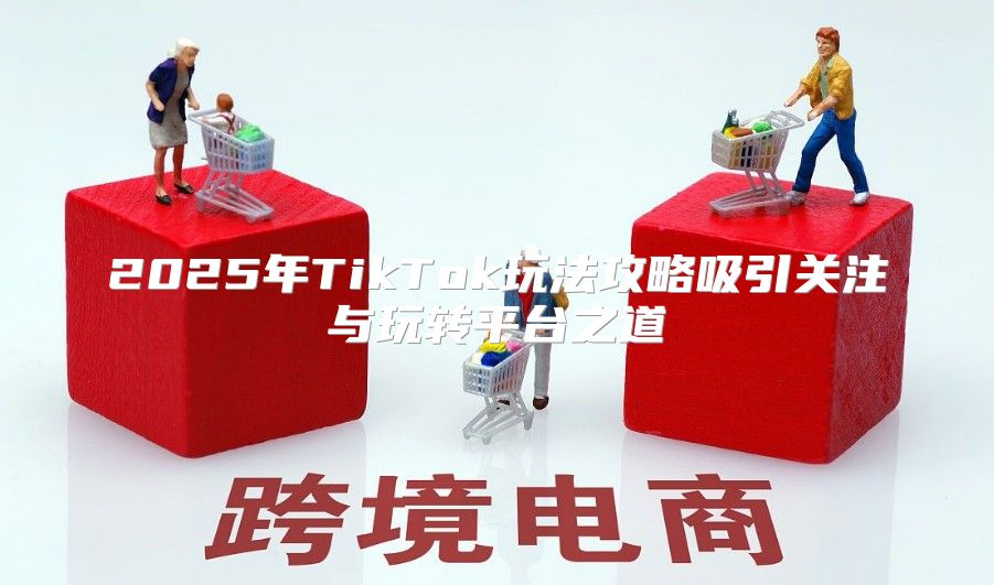 2025年TikTok玩法攻略吸引关注与玩转平台之道
