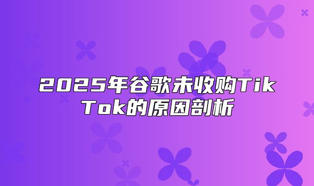 2025年谷歌未收购TikTok的原因剖析