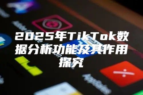 2025年TikTok数据分析功能及其作用探究