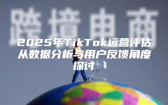 2025年TikTok运营评估从数据分析与用户反馈角度探讨