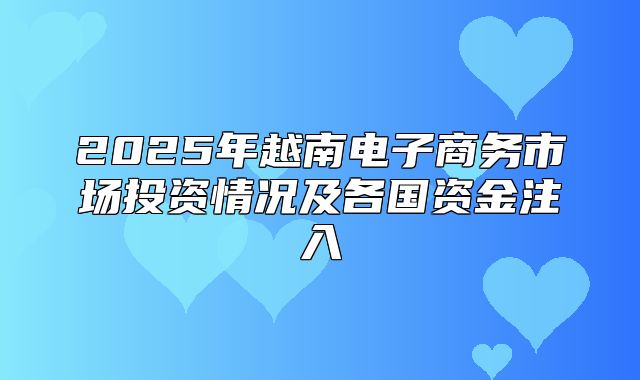 2025年越南电子商务市场投资情况及各国资金注入