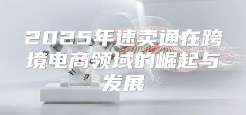 2025年速卖通在跨境电商领域的崛起与发展
