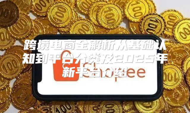 跨境电商全解析从基础认知到平台分类及2025年新平台介绍