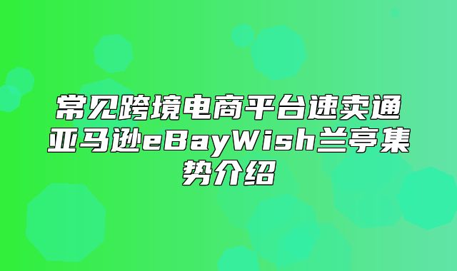 常见跨境电商平台速卖通亚马逊eBayWish兰亭集势介绍
