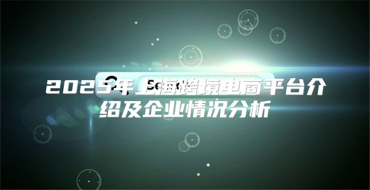 2025年上海跨境电商平台介绍及企业情况分析