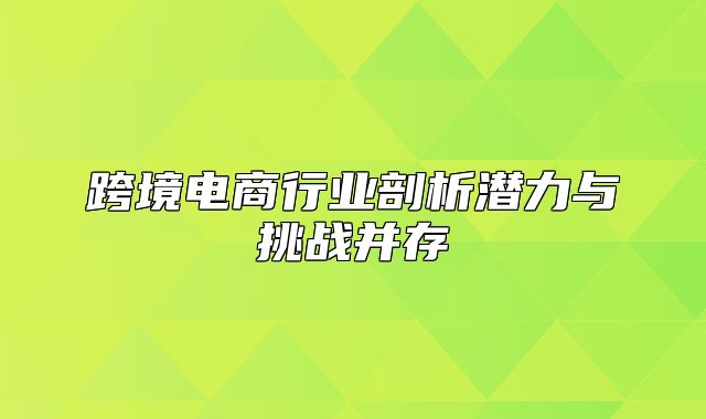 跨境电商行业剖析潜力与挑战并存