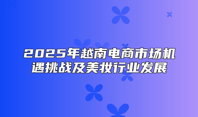 2025年越南电商市场机遇挑战及美妆行业发展