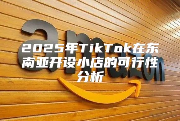 2025年TikTok在东南亚开设小店的可行性分析