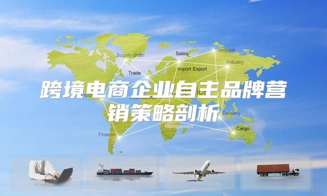 跨境电商企业自主品牌营销策略剖析