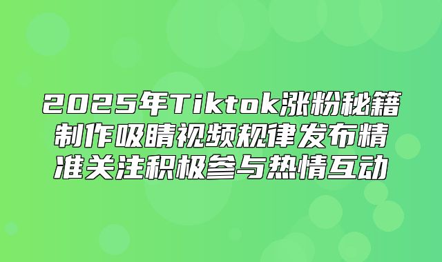 2025年Tiktok涨粉秘籍制作吸睛视频规律发布精准关注积极参与热情互动