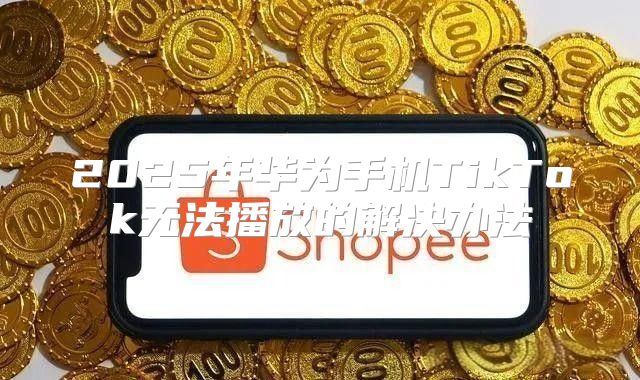 2025年华为手机TikTok无法播放的解决办法