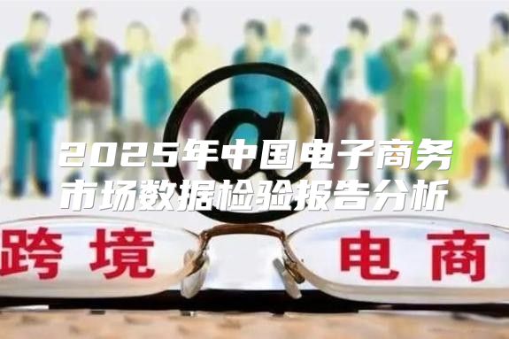 2025年中国电子商务市场数据检验报告分析