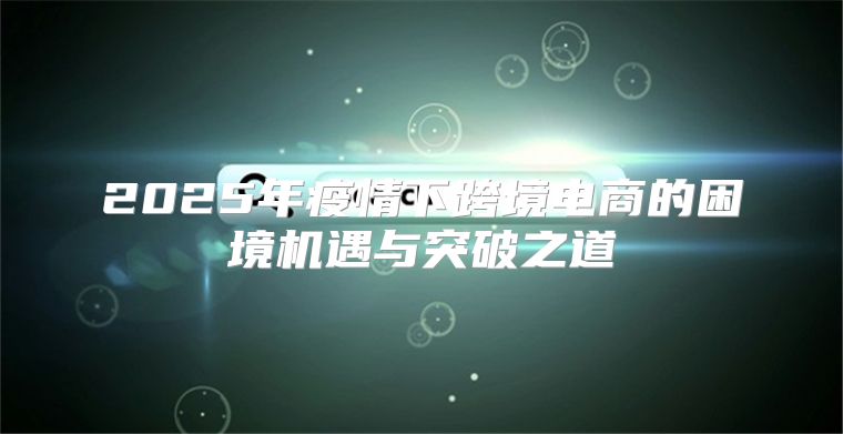 2025年疫情下跨境电商的困境机遇与突破之道