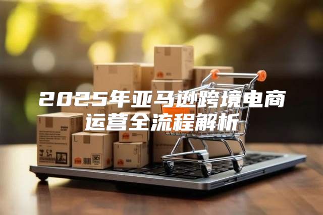2025年亚马逊跨境电商运营全流程解析