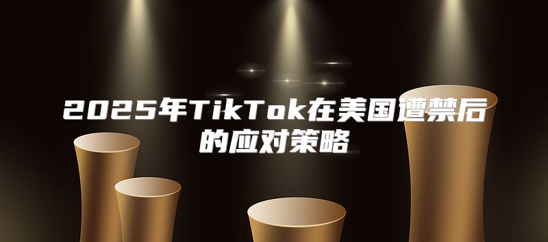 2025年TikTok在美国遭禁后的应对策略