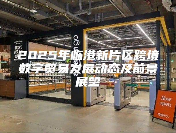 2025年临港新片区跨境数字贸易发展动态及前景展望