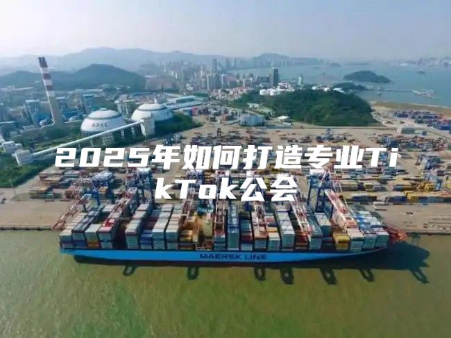 2025年如何打造专业TikTok公会
