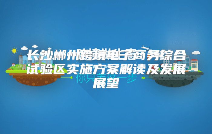 长沙郴州跨境电子商务综合试验区实施方案解读及发展展望