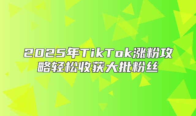 2025年TikTok涨粉攻略轻松收获大批粉丝
