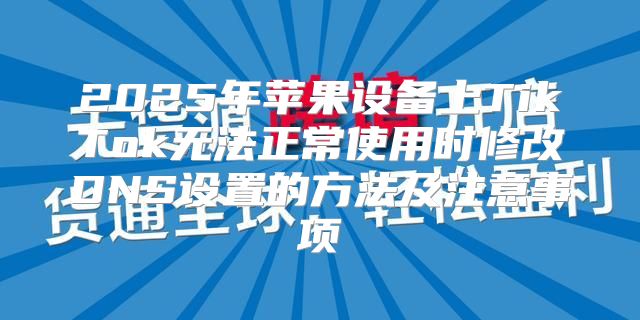 2025年苹果设备上TikTok无法正常使用时修改DNS设置的方法及注意事项