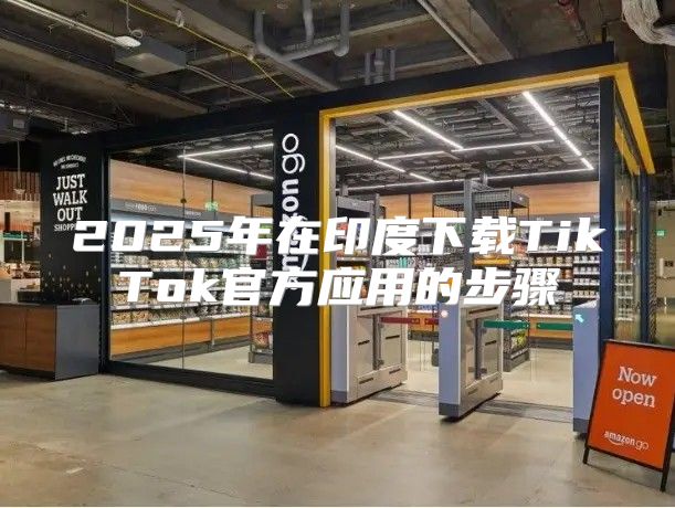 2025年在印度下载TikTok官方应用的步骤