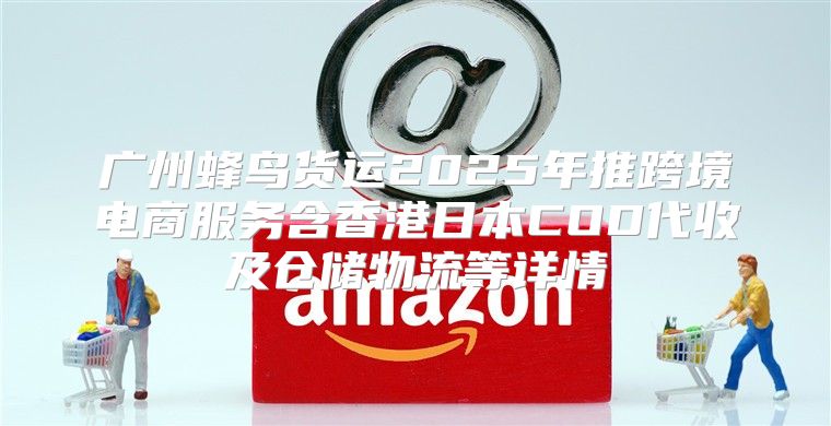 广州蜂鸟货运2025年推跨境电商服务含香港日本COD代收及仓储物流等详情