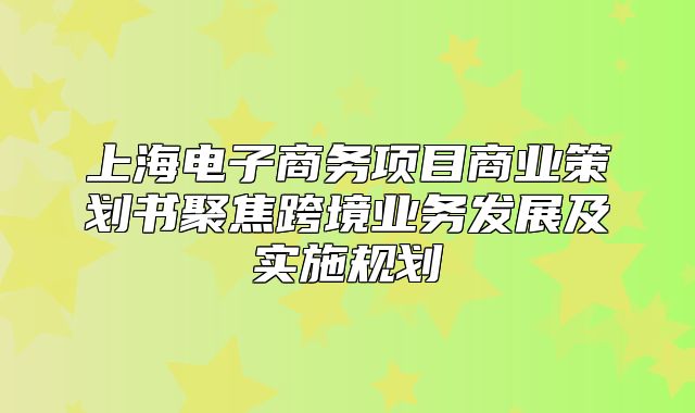 上海电子商务项目商业策划书聚焦跨境业务发展及实施规划