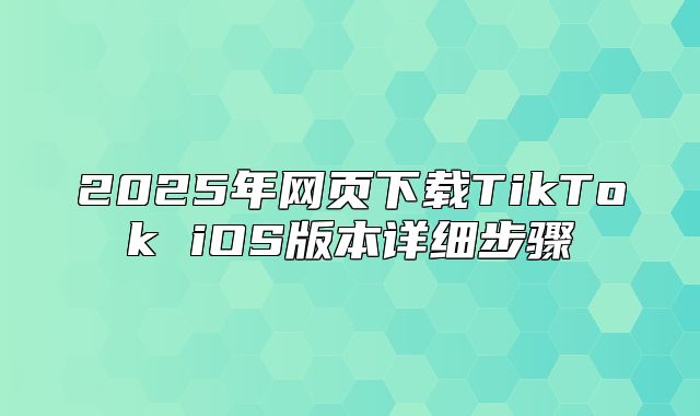 2025年网页下载TikTok iOS版本详细步骤