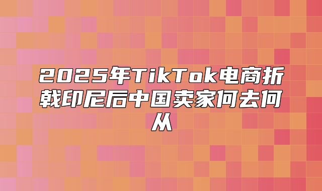 2025年TikTok电商折戟印尼后中国卖家何去何从